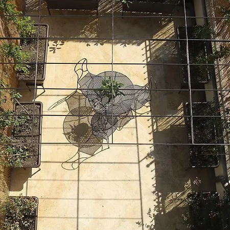 Sogni D'oro *